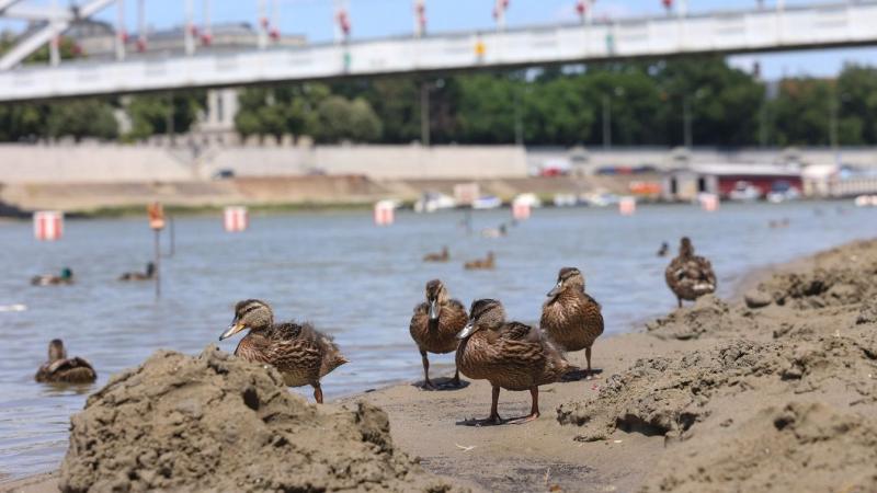 A hőségriadó továbbra is érvényben marad, a hatóságok pedig úgy döntöttek, hogy meghosszabbítják azt.
