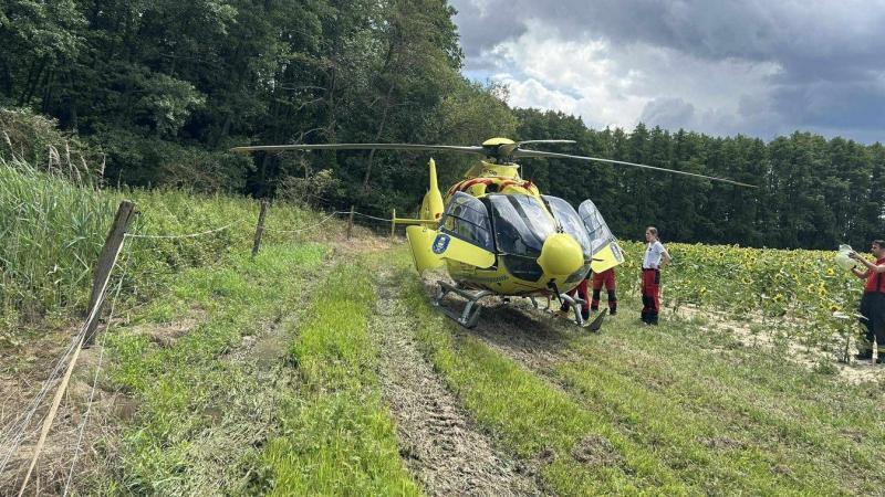Félelmetes baleset történt az erdő mélyén - Egy férfi életét vesztette, amikor egy fa ráomlott. A helyszínről készült fotók megdöbbentő pillanatokat örökítenek meg.