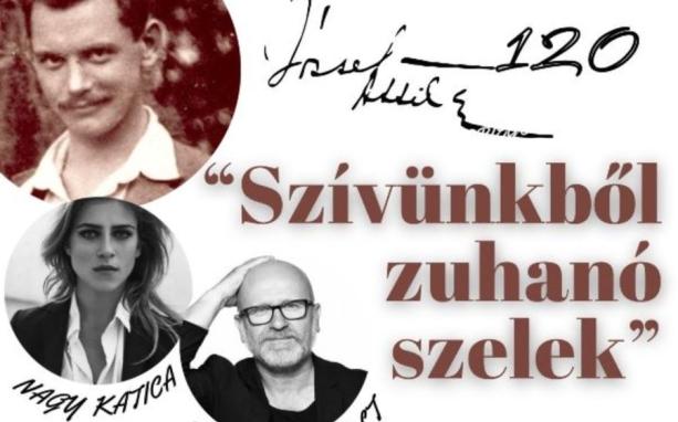Betegség következtében sajnos elmarad a könyvtári 