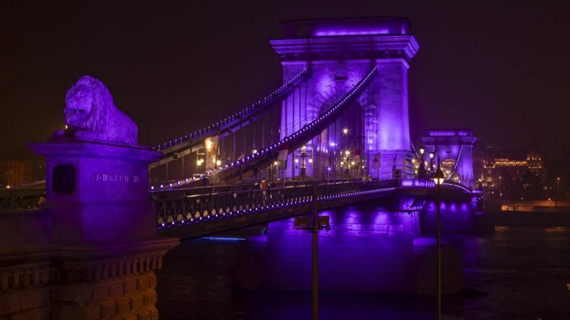 A legapróbb hősökért ragyog lilában az egész ország | Sokszínű vidék